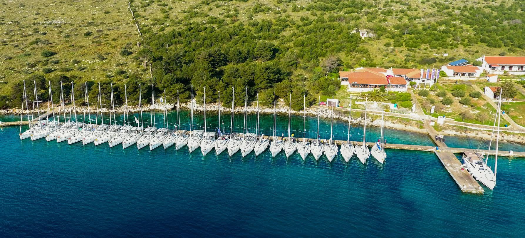 Jadrnice na regati Poetovio Cup